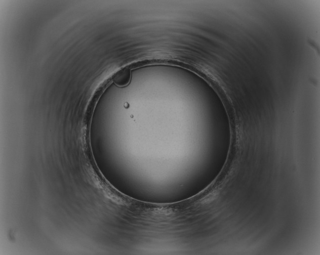 X0000101111029200807031735
