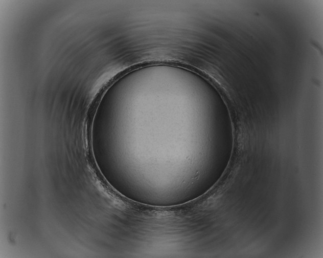 X0000101111030200807031735