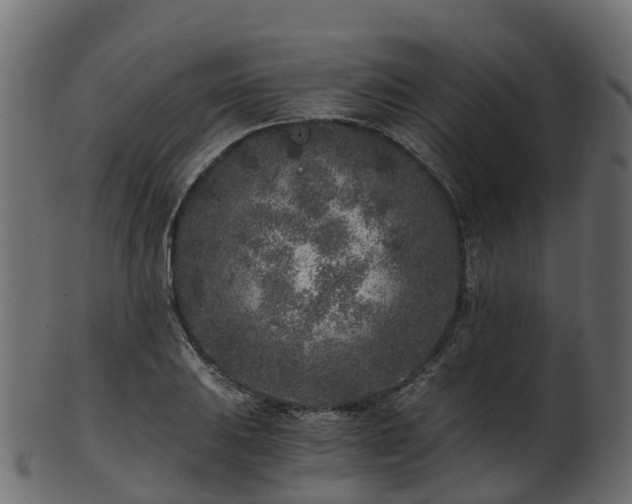 X0000101111031200807031735