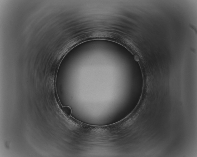 X0000101111033200807031735