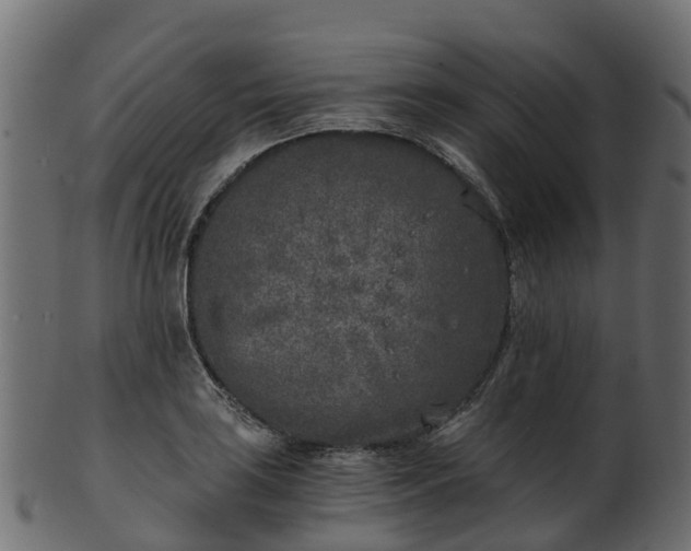 X0000101111035200807031735