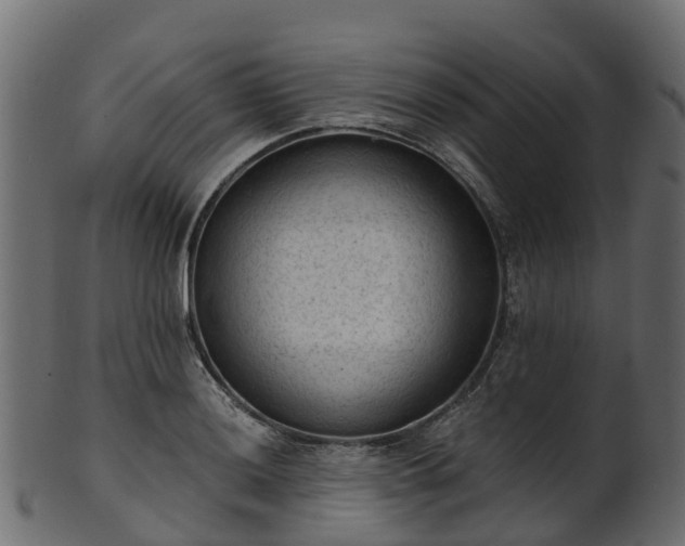 X0000101111036200807031735