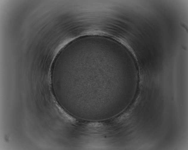 X0000101111037200807031735