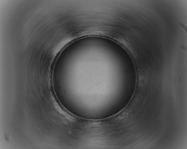 X0000101111038200807031735