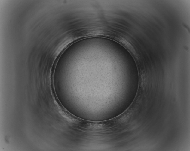 X0000101111039200807031735