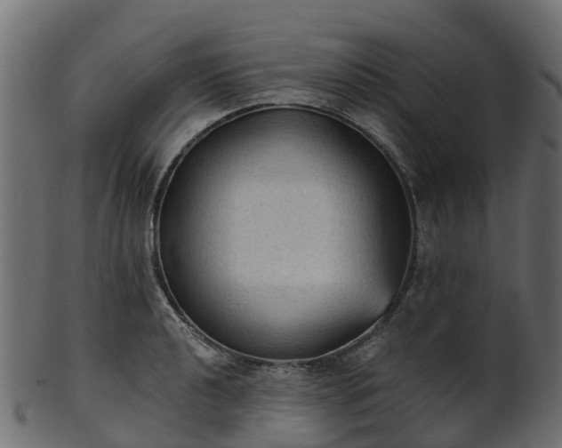 X0000101111040200807031735