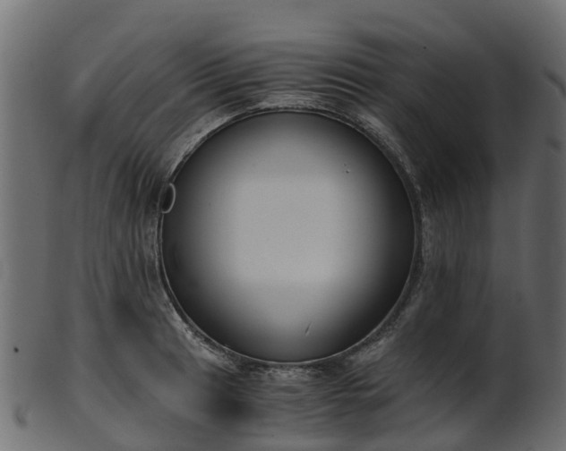 X0000101111041200807031735
