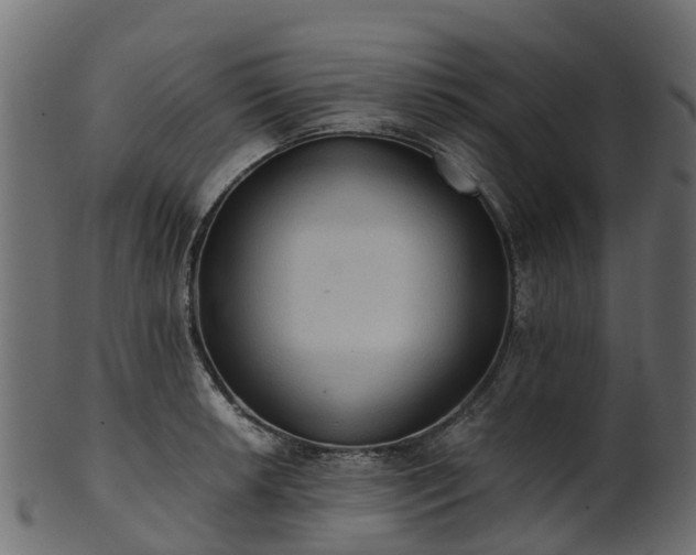 X0000101111042200807031735