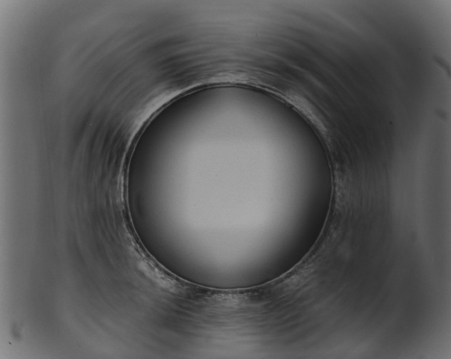 X0000101111044200807031735