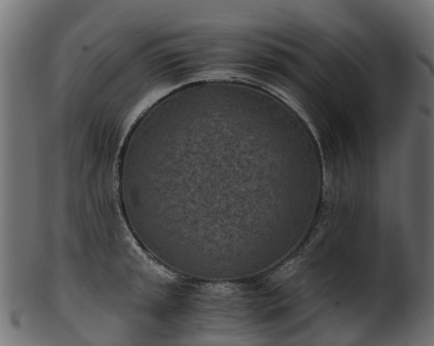 X0000101111045200807031735