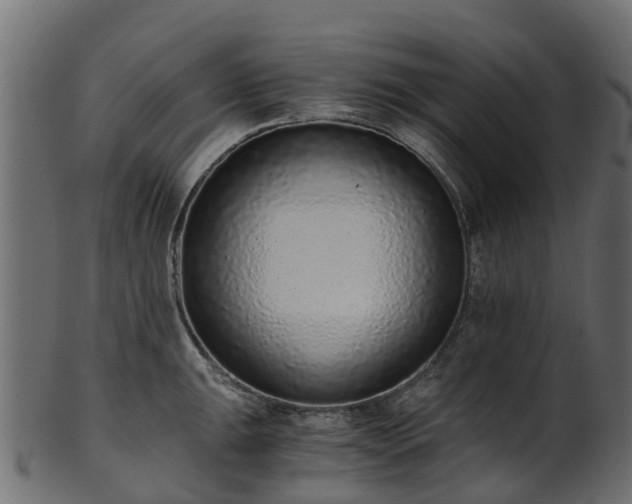 X0000101111047200807031735