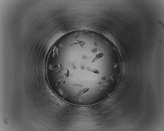 X0000101111048200807031735