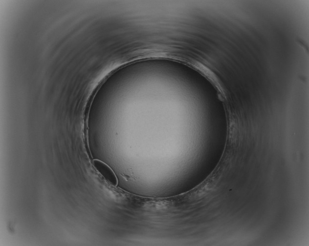X0000101111051200807031735