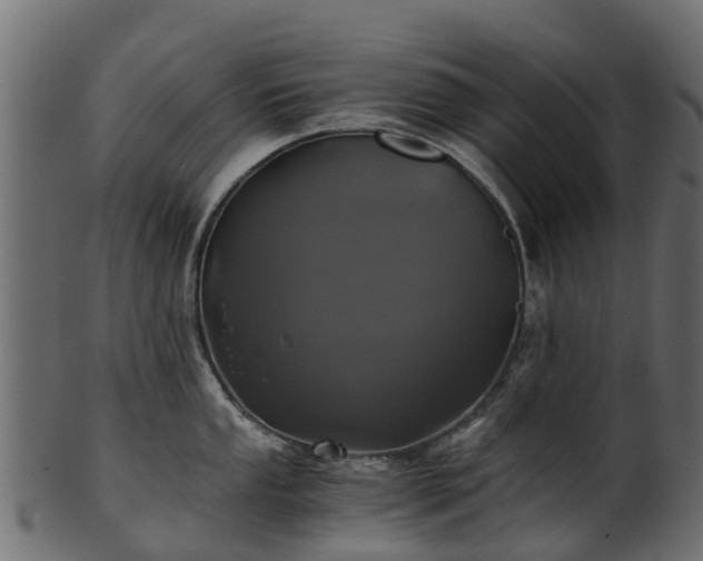 X0000101111053200807031735