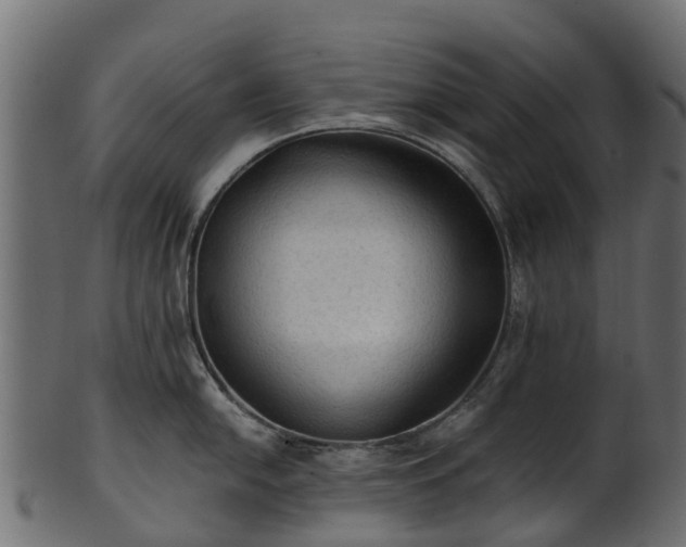 X0000101111054200807031735