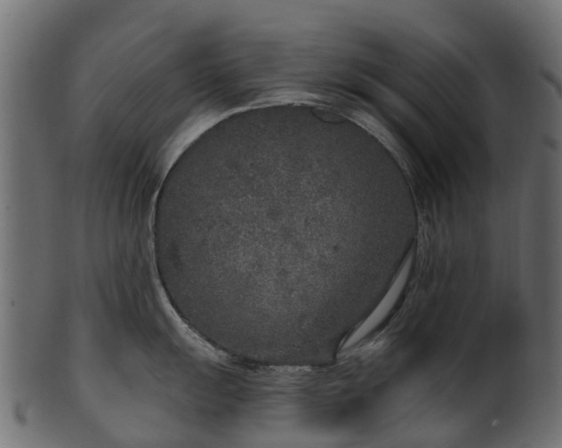X0000101111055200807031735
