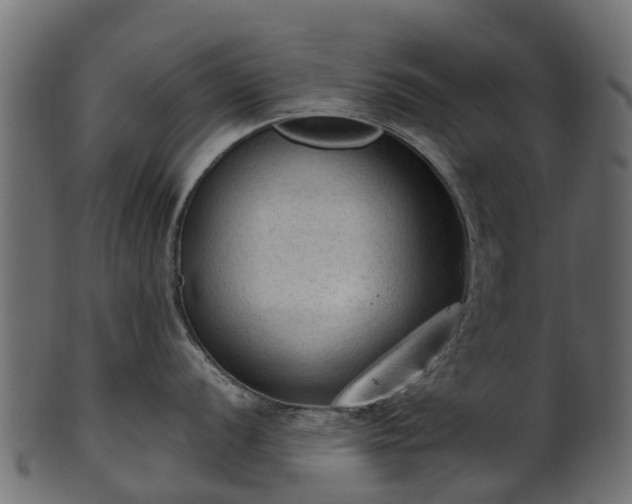 X0000101111056200807031735