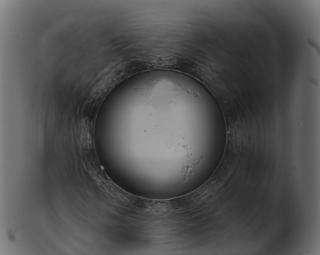 X0000101111058200807031734