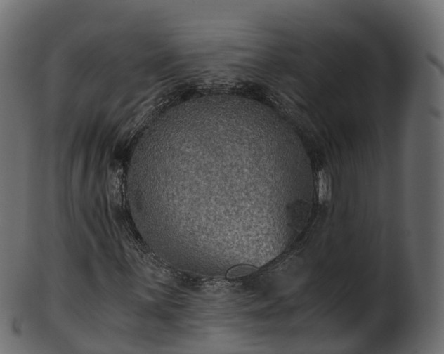 X0000101111059200807031734