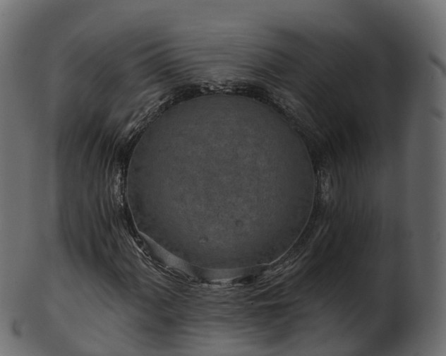 X0000101111060200807031734
