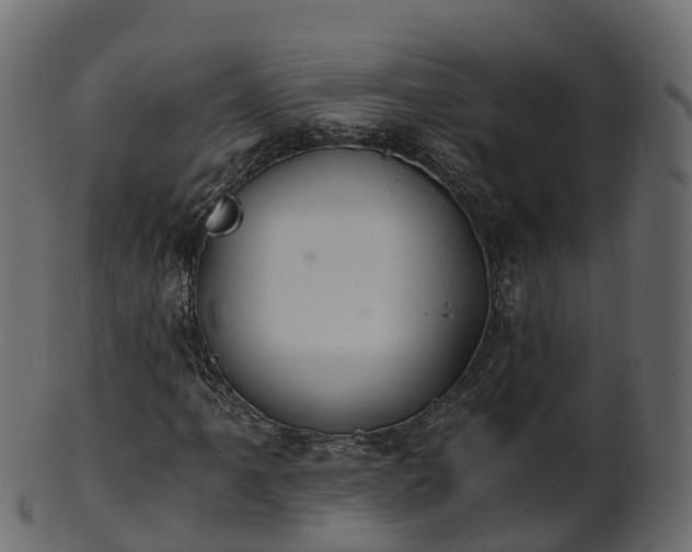 X0000101111061200807031734