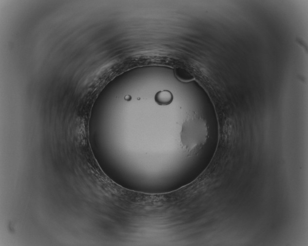 X0000101111062200807031734