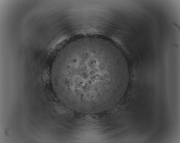 X0000101111063200807031734