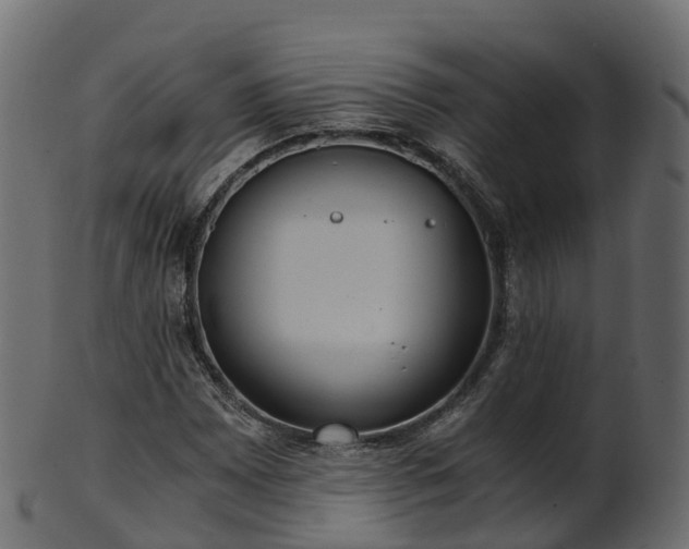 X0000101111065200807031734