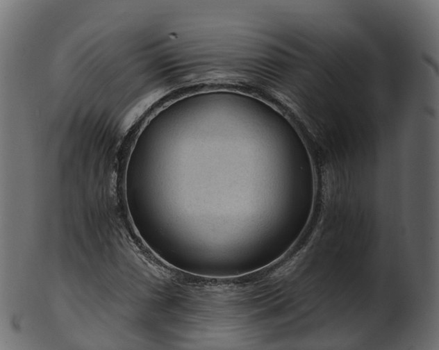 X0000101111066200807031734