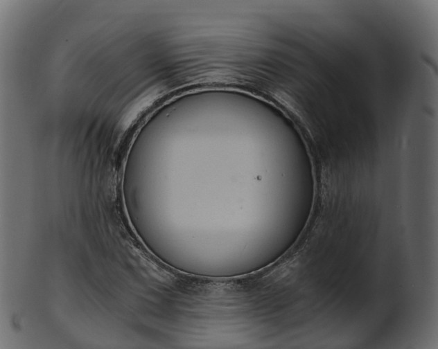 X0000101111067200807031734