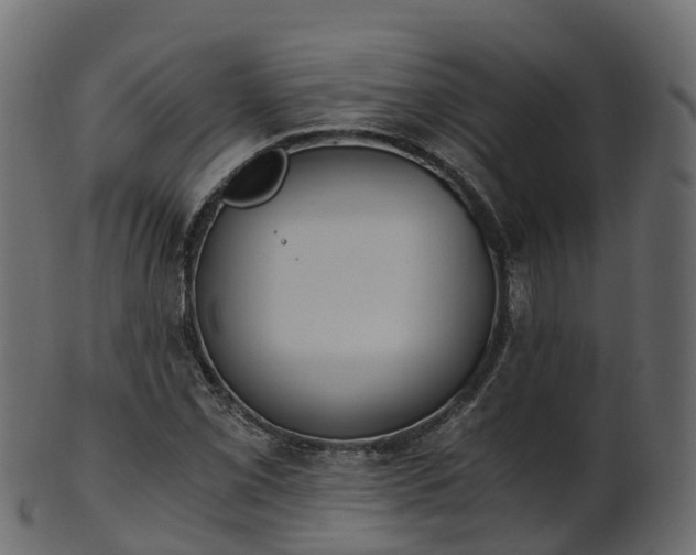 X0000101111069200807031734