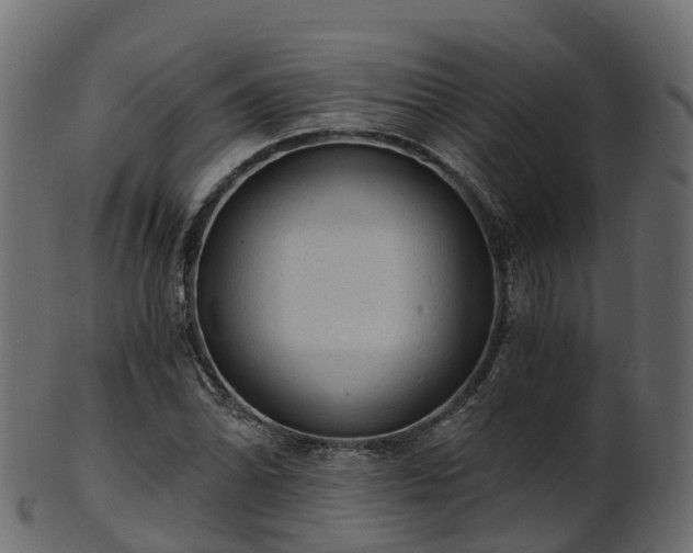 X0000101111070200807031734