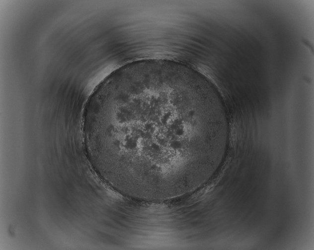X0000101111071200807031734