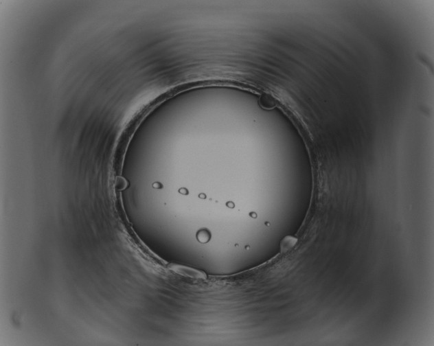 X0000101111072200807031734