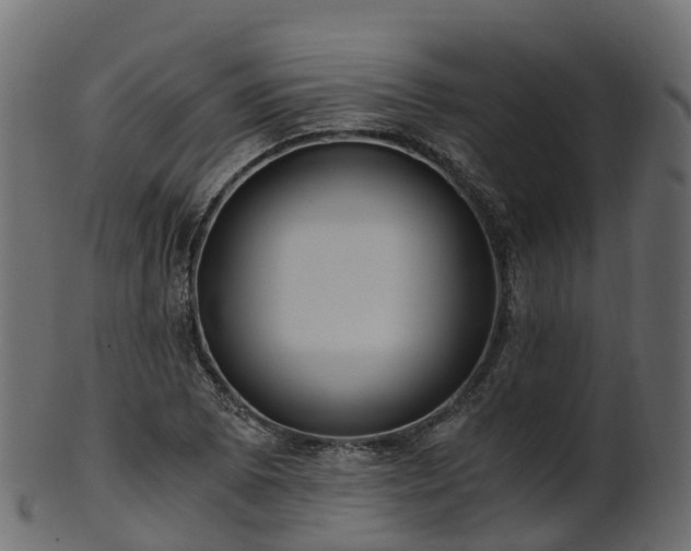 X0000101111073200807031734