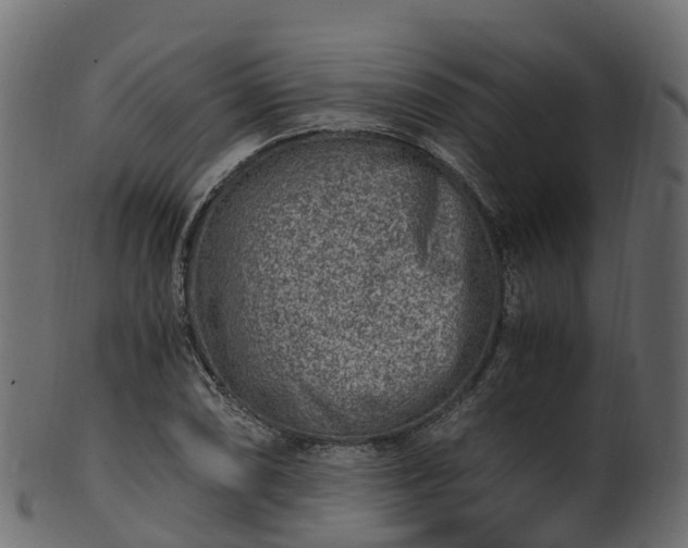 X0000101111074200807031734