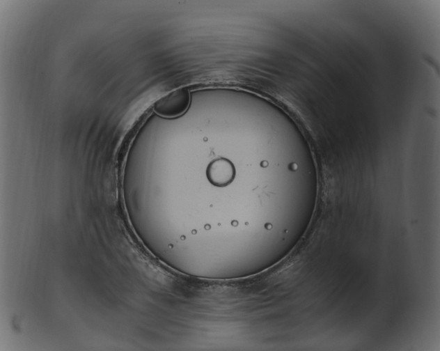 X0000101111075200807031734