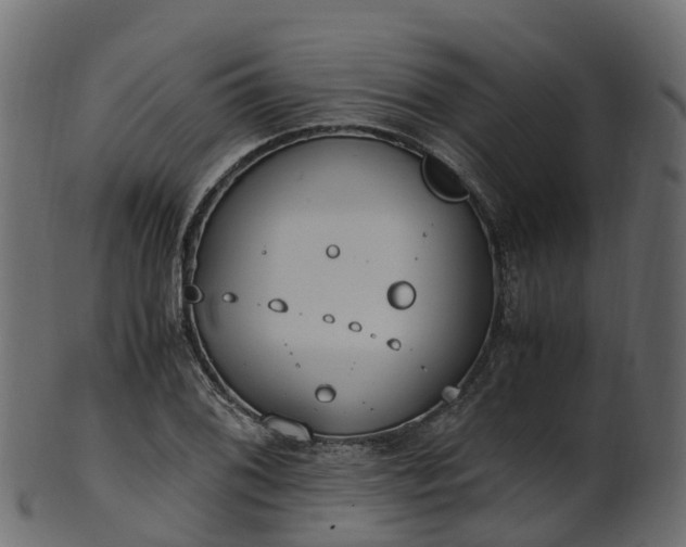 X0000101111076200807031734