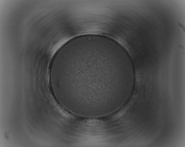 X0000101111077200807031734