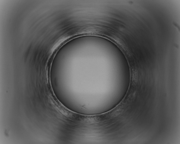 X0000101111078200807031734