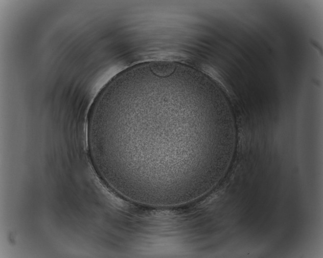 X0000101111079200807031734