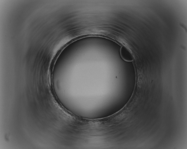X0000101111080200807031734