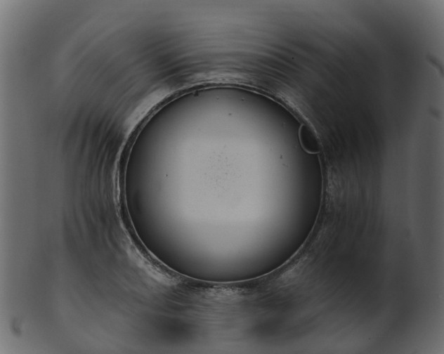 X0000101111082200807031734