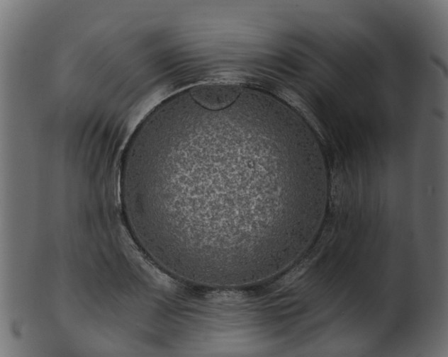 X0000101111083200807031734