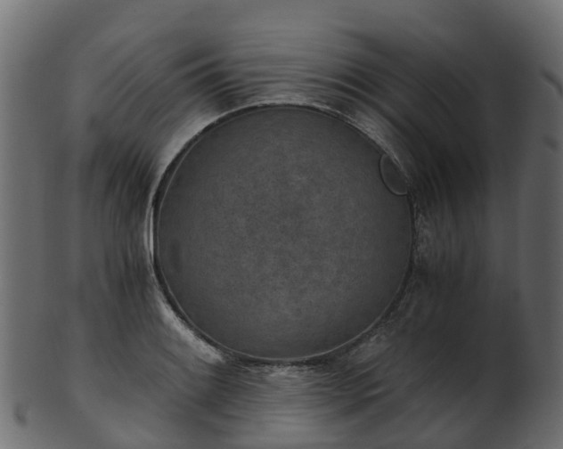 X0000101111084200807031734