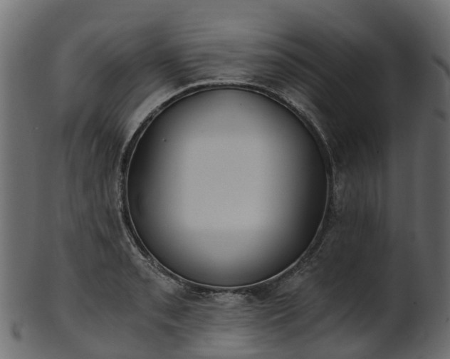 X0000101111085200807031734