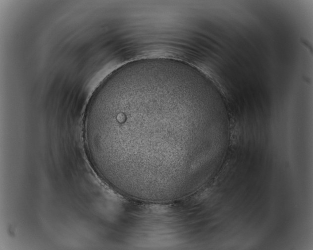 X0000101111086200807031734