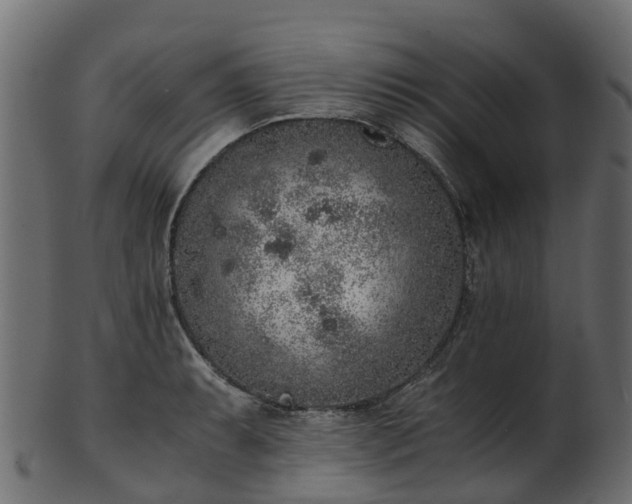 X0000101111087200807031734