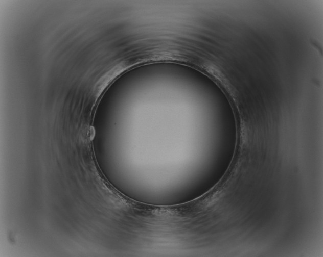 X0000101111089200807031734