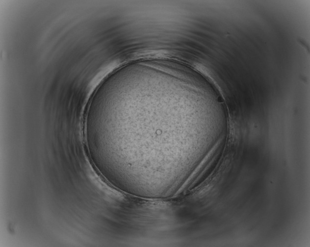 X0000101111090200807031734